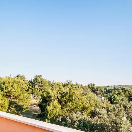 Apartment Family Friendly Apartments With A Swimming Pool Cove Osibova, Brac - 2172 *