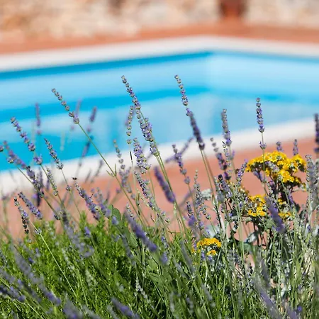 Family Friendly With A Swimming Pool Cove Osibova, Brac - 2172 *